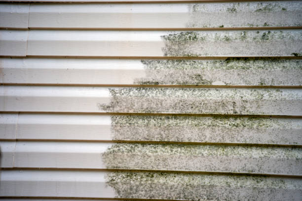 Best Stone Veneer Siding  in Clay, CA